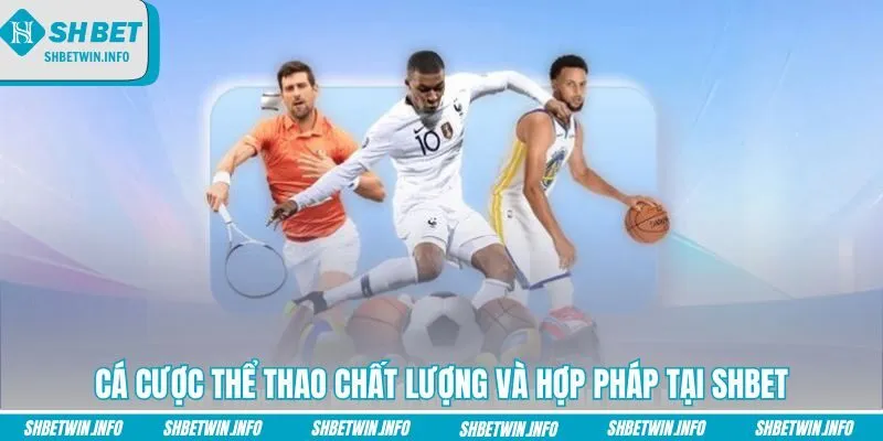 ca-cuoc-the-thao-chat-luong-va-hop-phap-tai-shbet