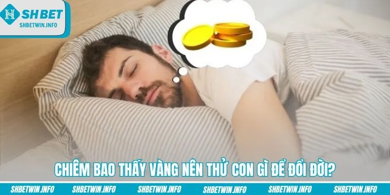 chiem-bao-thay-vang-nen-thu-con-gi-de-doi-doi
