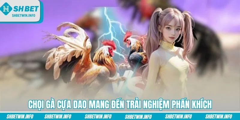 choi-ga-cua-dao-mang-den-trai-nghiem-phan-khich