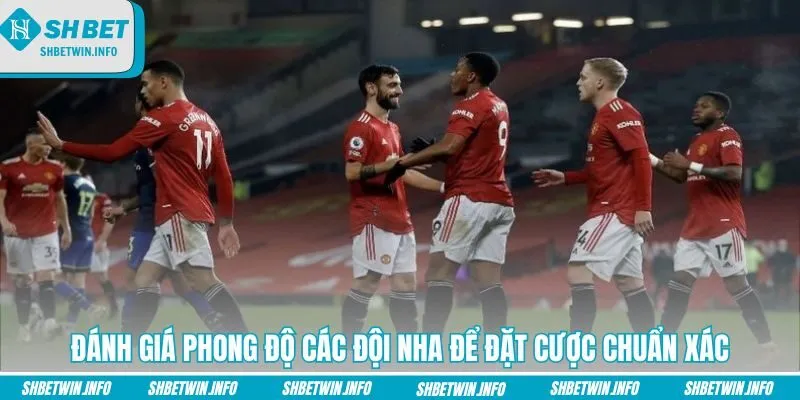danh-gia-phong-do-cac-doi-nha-de-dat-cuoc-chuan-xac