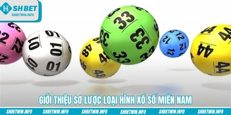 gioi-thieu-so-luoc-loai-hinh-xo-so-mien-nam