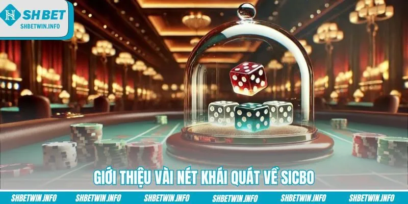 gioi-thieu-vai-net-khai-quat-ve-sicbo