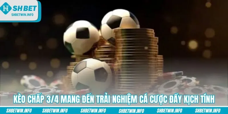 keo-chap-3-4-mang-den-trai-nghiem-ca-cuoc-day-kich-tinh