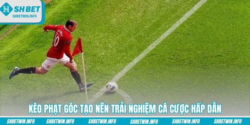 keo-phat-goc-tao-nen-trai-nghiem-ca-cuoc-hap-dan