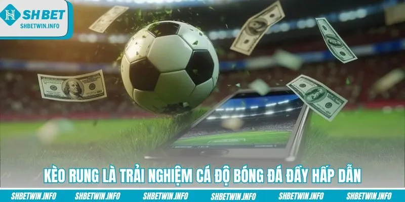 keo-rung-la-trai-nghiem-ca-do-bong-da-day-hap-dan