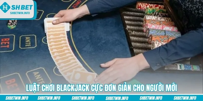 luat-choi-blackjack-cuc-don-gian-cho-nguoi-moi