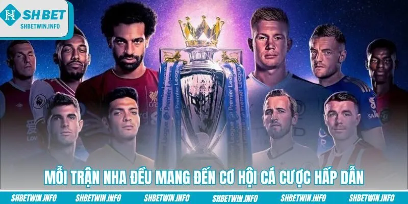 moi-tran-nha-deu-mang-den-co-hoi-ca-cuoc-hap-dan