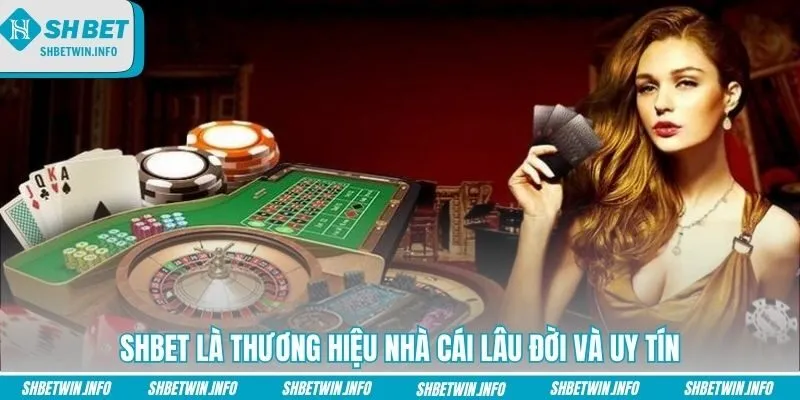 Bắt đầu giải trí trên Shbet mọi lúc mọi nơi