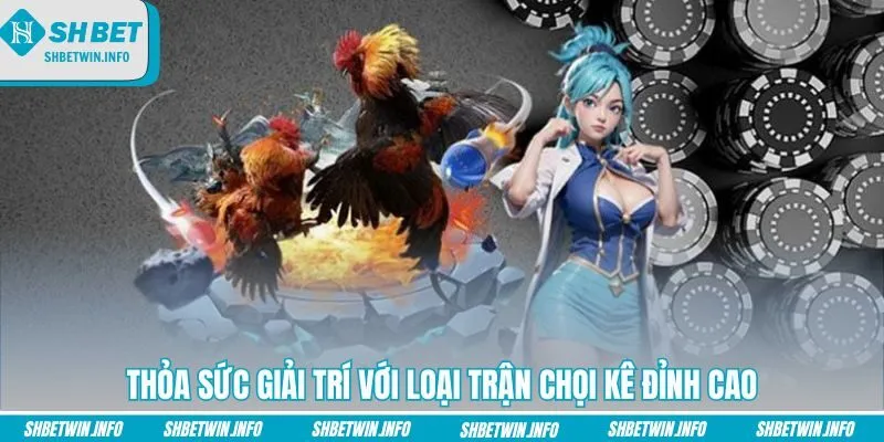 thoa-suc-giai-tri-voi-loai-tran-choi-ke-dinh-cao