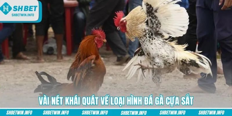 vai-net-khai-quat-ve-loai-hinh-da-ga-cua-sat